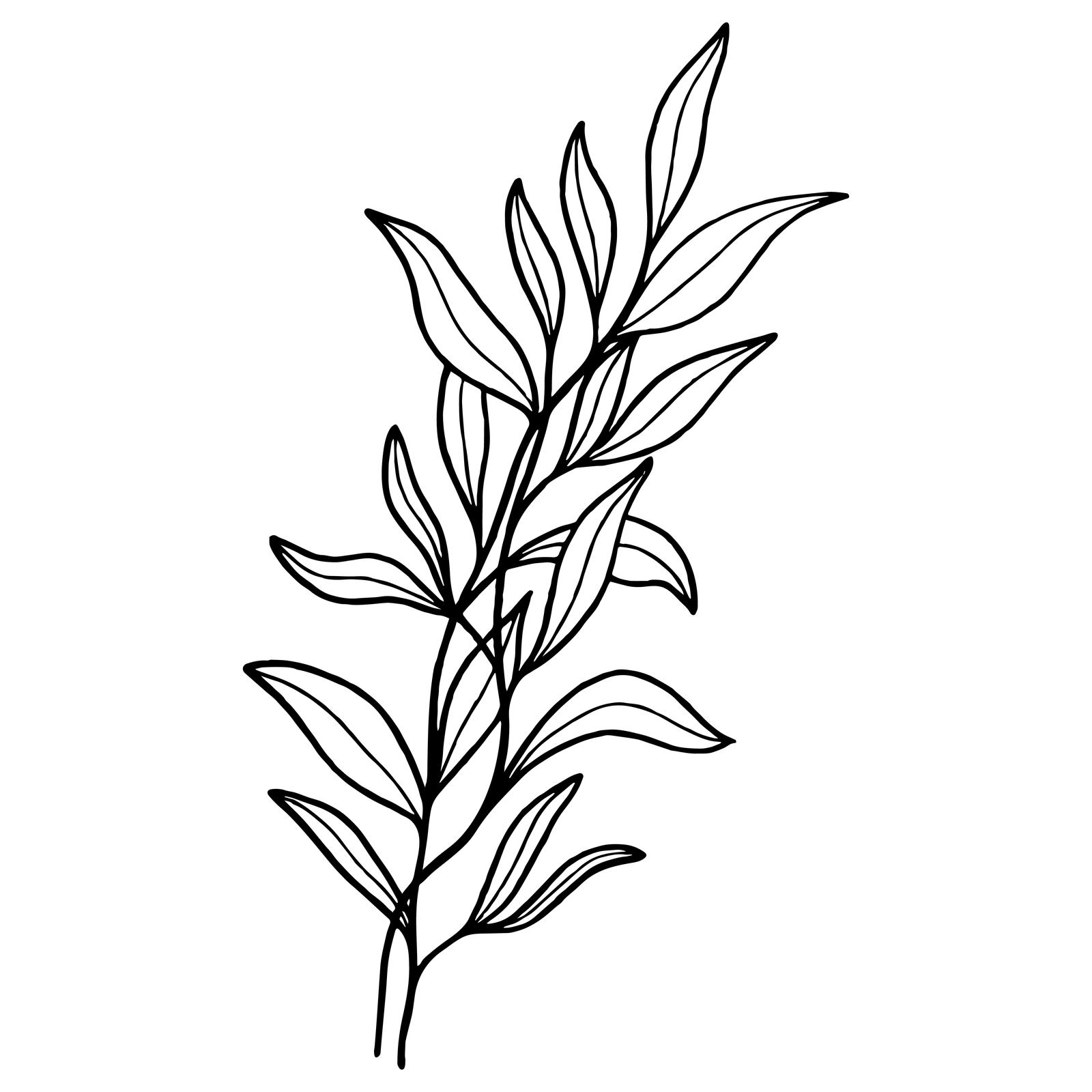 Leaf_43
