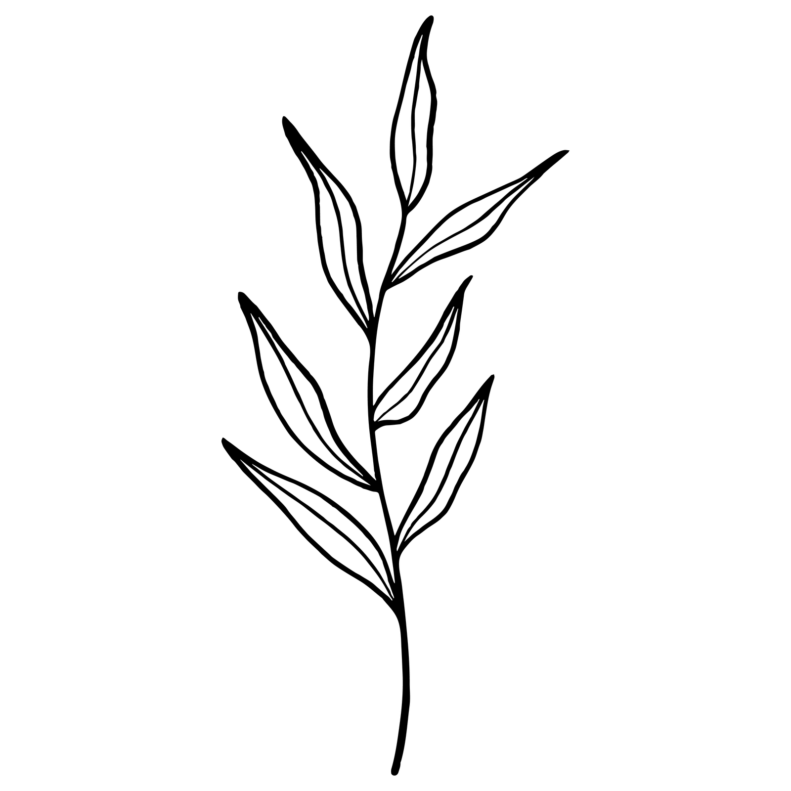 Leaf_47